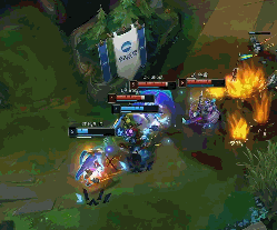 全国的体育 全国的体育