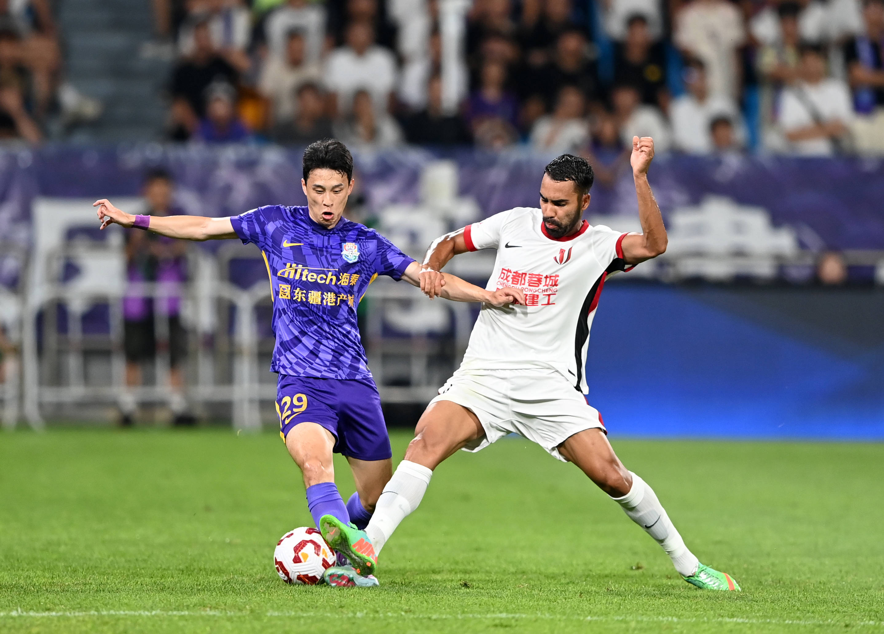 豪门回归 豪门回归